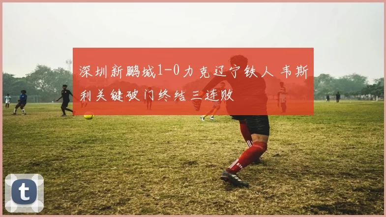 深圳新鹏城1-0力克辽宁铁人 韦斯利关键破门终结三连败