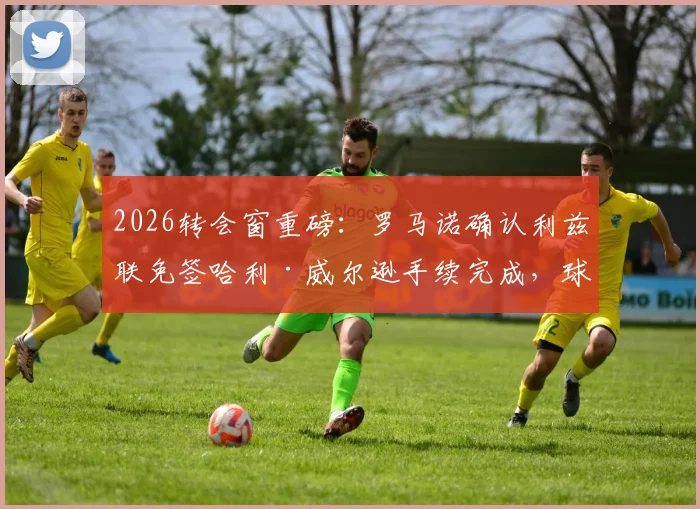 2026转会窗重磅:罗马诺确认利兹联免签哈利·威尔逊手续完成,球员合同细节与夏窗操作解析